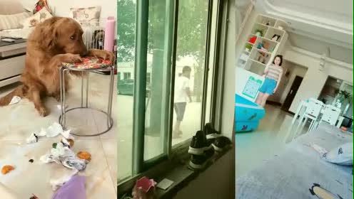 腾讯视频