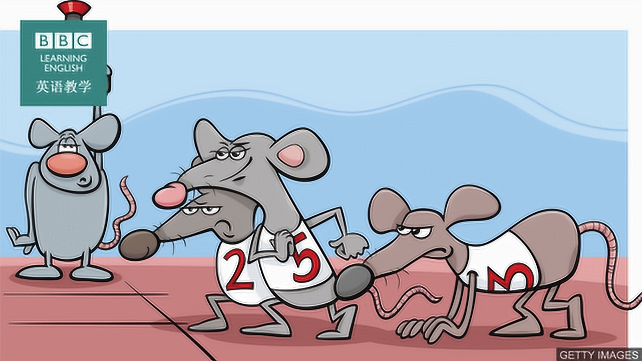 bbc地道英语:rat race "老鼠赛跑" 永无休止的竞争