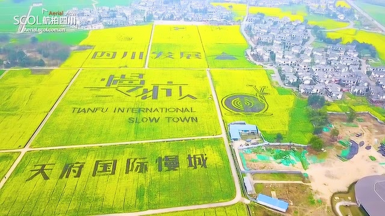 云赏花|走进崇州 瞰天府国际慢城花开正灿漫