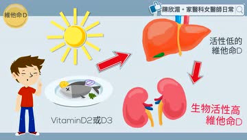 认识维生素D：它到底有多重要？该如何摄取？