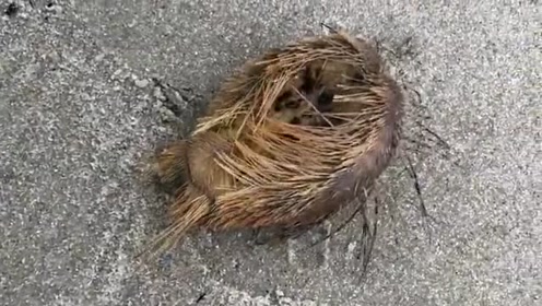 腾讯视频