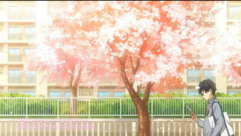 ひらら 腾讯视频