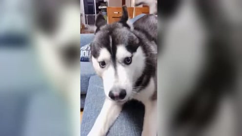爪仁 腾讯视频