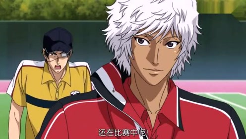 真田弦一郎 腾讯视频
