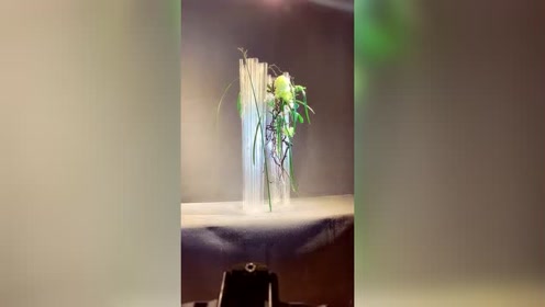 东方自然风 腾讯视频