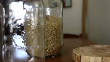 自制生食版发芽米奶