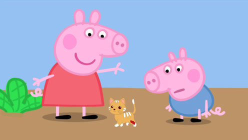 小猪佩奇捡到一只受伤的小猫,佩奇带小猫去医院看医生!