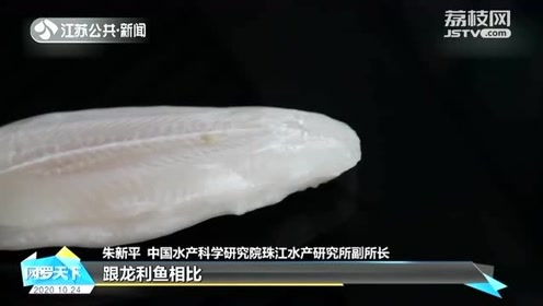 龙利鱼的价值 腾讯视频