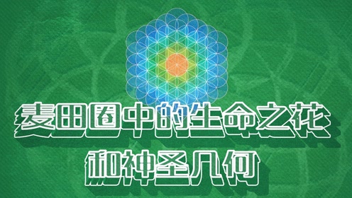 麦田圈中的生命之花和神圣几何 #麦田圈# #生命之花# #神圣几何