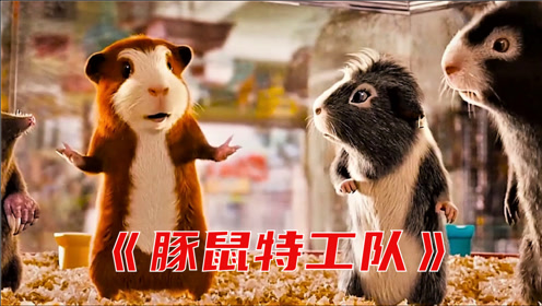 豚鼠身怀绝技,成为超级特工《豚鼠特工队》