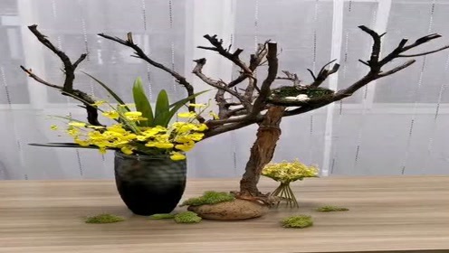 自然花艺 腾讯视频