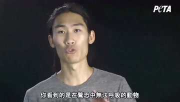吃鱼长大的日本小哥为何不再吃鱼？一起听听他的故事