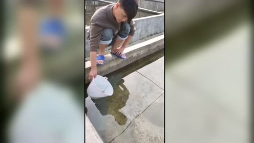 淘汰鱼 腾讯视频