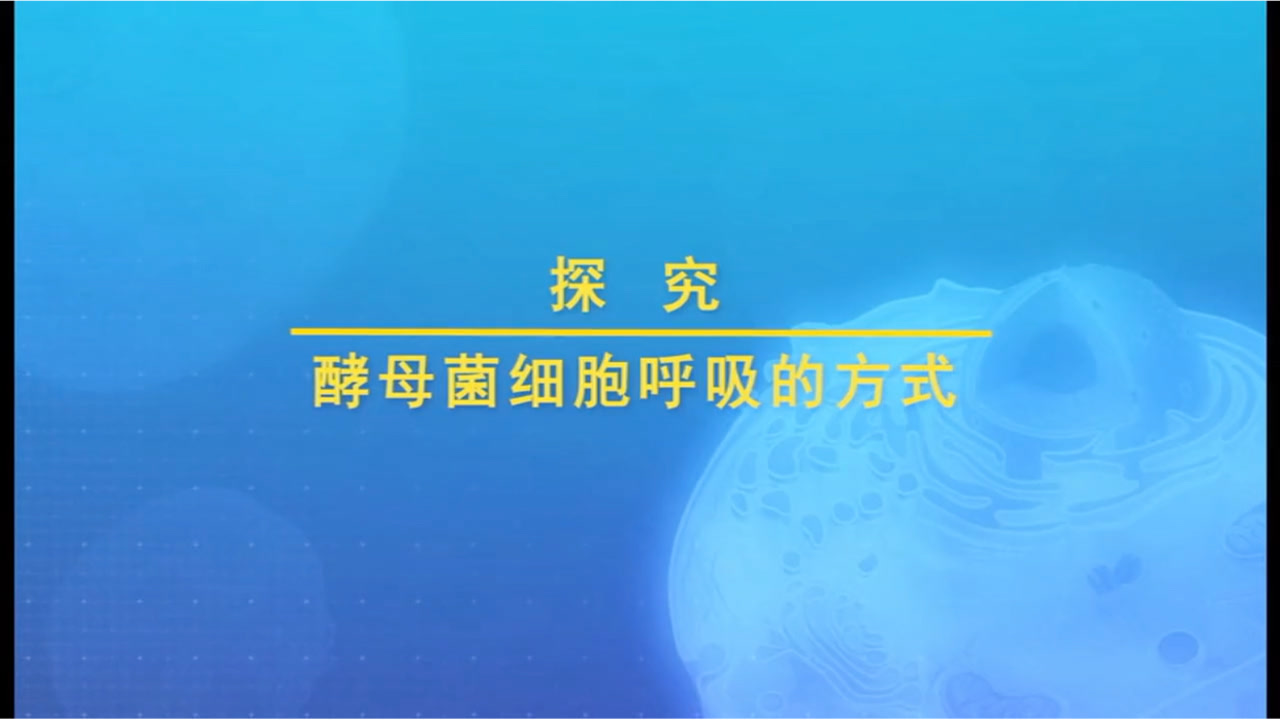 细胞呼吸 分子生物学概念 搜狗百科