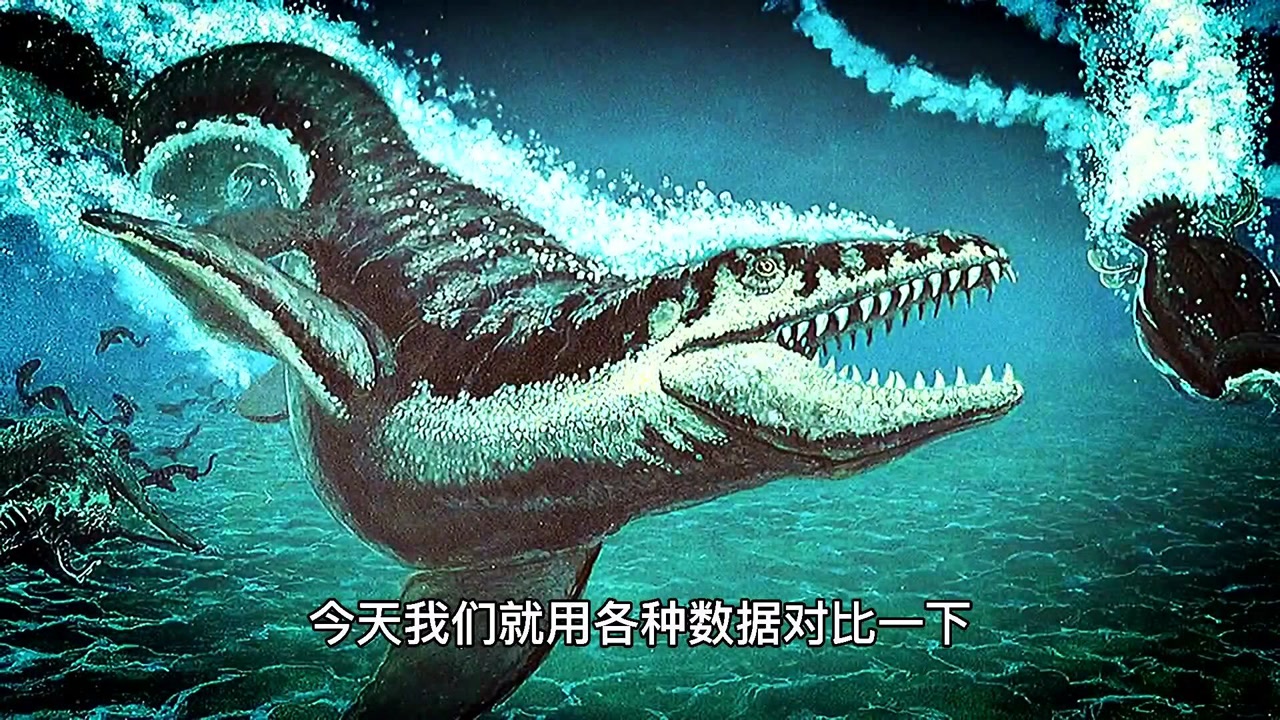 史上最强咬合力的巨齿鲨,能将沧龙轻松拿下吗