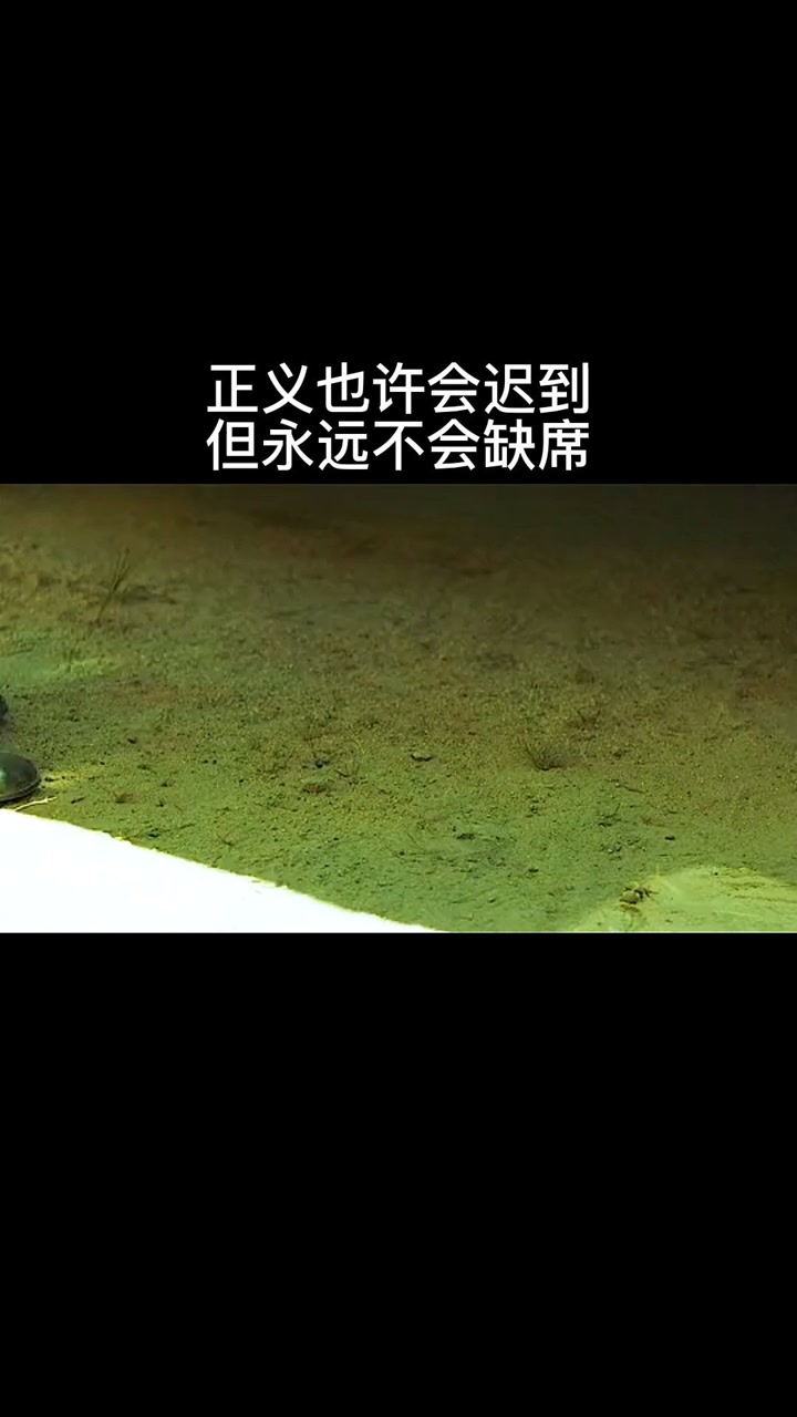 正义也许会迟到,但永远不会缺席#精彩片段 @经纪人小微