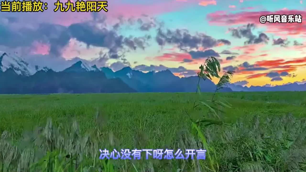 《九九豔陽天》《受了傷的狼》《我的未來不是夢》《野花香》《在回首