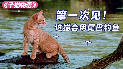 腾讯视频