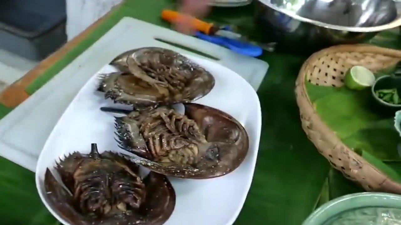 食用鲎,食用(第3页)_大山谷图库