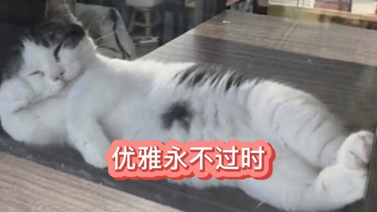 搞笑配音:优雅永不过时