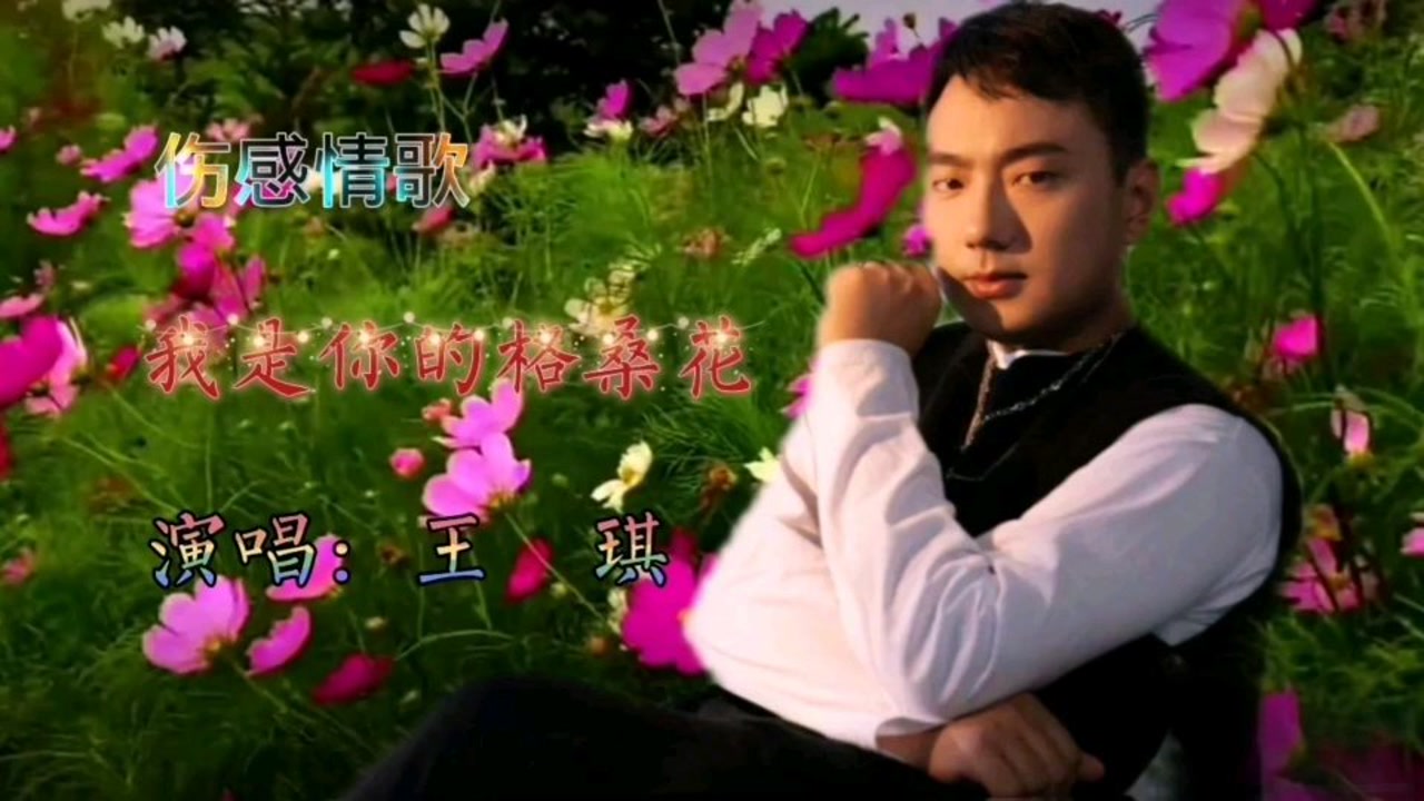 《我是你的格桑花》:王琪演绎一段凄美的爱情故事,沧桑嗓音荡涤心灵