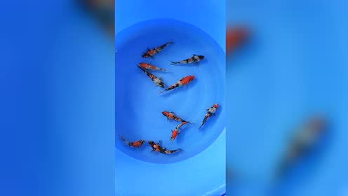 腾讯视频