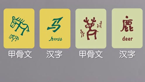 腾讯视频