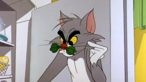 猫和老鼠:汤姆竟然把胡萝卜装在鼻子上