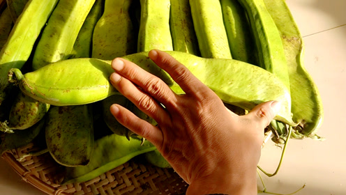 巨型豆角,农村老家院子里长的,谁知道这家伙怎么吃呢?