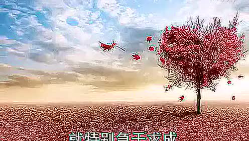 布施翠 腾讯视频
