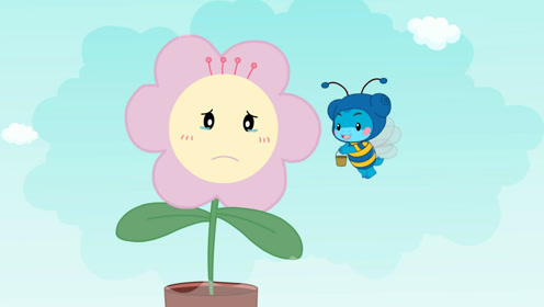 花儿的眼泪