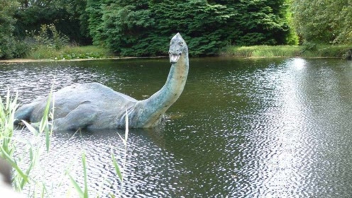 多人亲眼目击水下巨大不明生物,湖光岩水怪之谜!