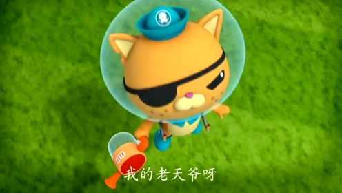 简 介:海底小纵队 二 04 海底小纵队与后颌鱼上传者:亲子玩具乐园时