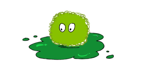 食品有意思:解读微囊藻毒素