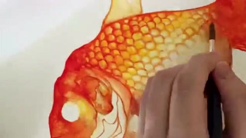 水彩金鱼 腾讯视频