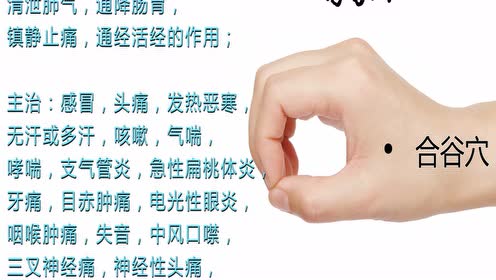 将象和中医艾灸针灸取穴:合谷穴