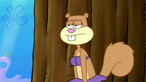 海绵宝宝:松鼠珊迪是位科学家,她要储存很多的橡实准备过冬