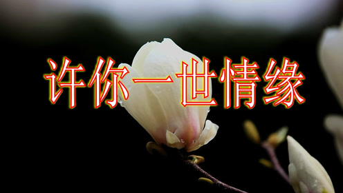 相遇不易,一曲《许你一世情缘》永远相依相伴!