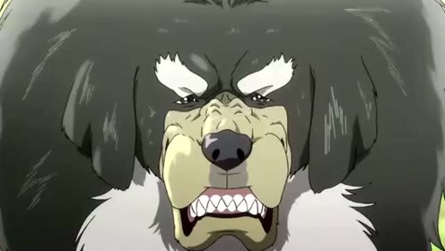 鬼獒正在养伤,獒王率众藏獒前来挑衅!