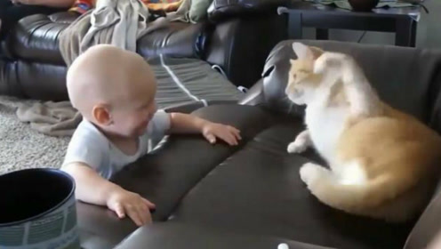 小手给你摸 腾讯视频