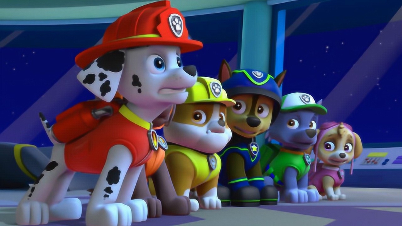 狗狗巡逻队 毛毛夜晚睡觉接到莱德队长分配任务