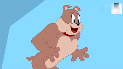 斯派克过生日啦!汤姆杰瑞好有心,从小被欺负还这么宠大狗