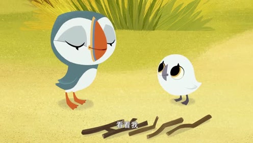 《欢乐海鹦岛》宝宝不能追着树叶到处跑,走丢了家人会很担心的!