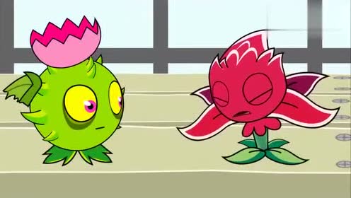 植物大战小僵 红针花和导向蓟pk