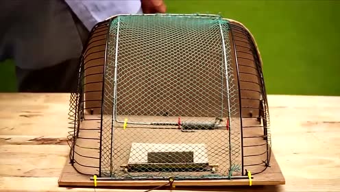 小伙自制抓鸟神器,鸟一进去就跑不掉