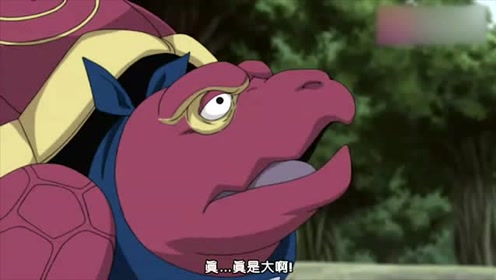 火影忍者:这么大的乌龟还是未成年的小龟,居然还有比它更大的!