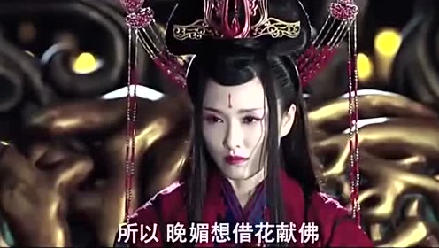 彼岸时光祭电视剧 腾讯视频