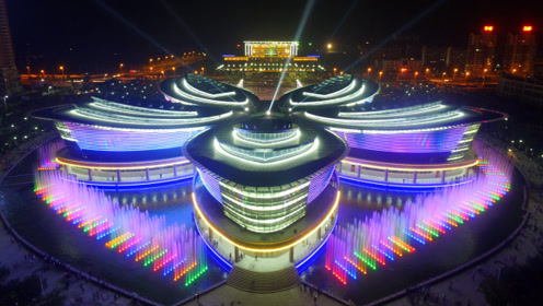 砀山梨花广场夜景