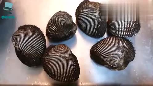 日本"特色红蛤蜊"看起来就很鲜美!爱吃生鲜的人都馋了!