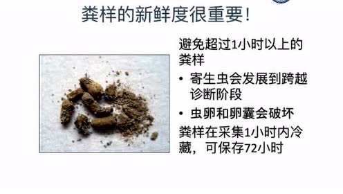 腾讯视频
